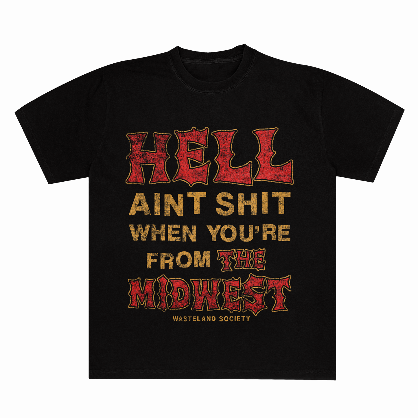 AINT SHIT (PREORDER)